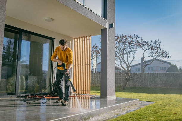 Best Driveway Pressure Washing  in Morehead City, NC